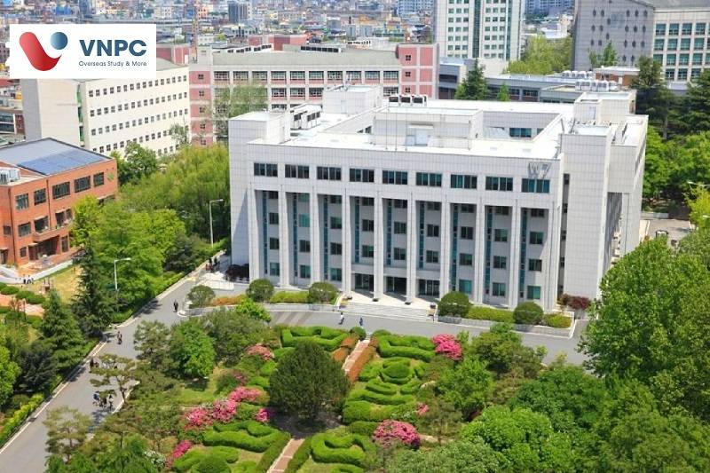 Daegu University 